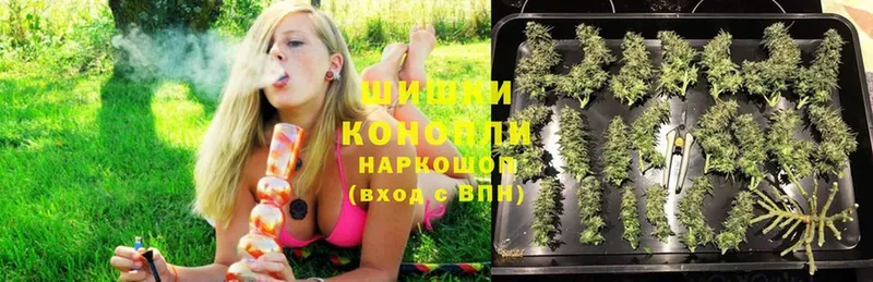 Шишки марихуана семена  купить   Бутурлиновка 